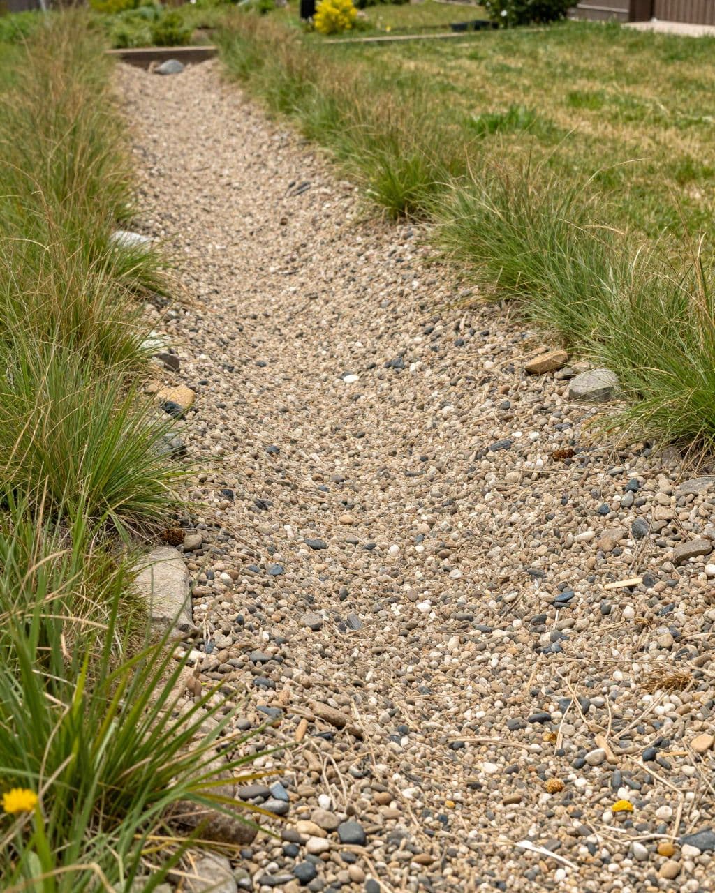 A shallow stone creek bed spreads across a grassy backyard.